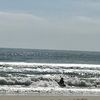 skagen3